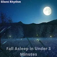 Silent Rhythm — Starry Night — обложка